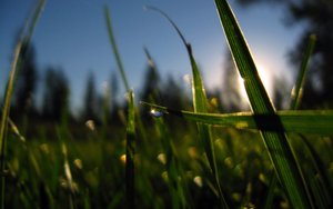 高防DNS域名解析用户口碑汇总